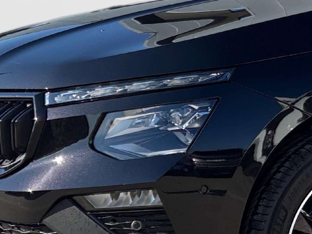 Fahrzeugbild eines Skoda Kamiq