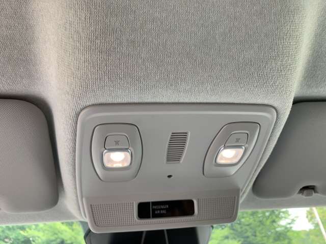Fahrzeugbild eines Renault ZOE