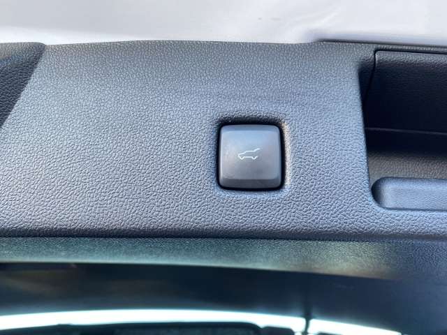 Fahrzeugbild eines Ford Kuga