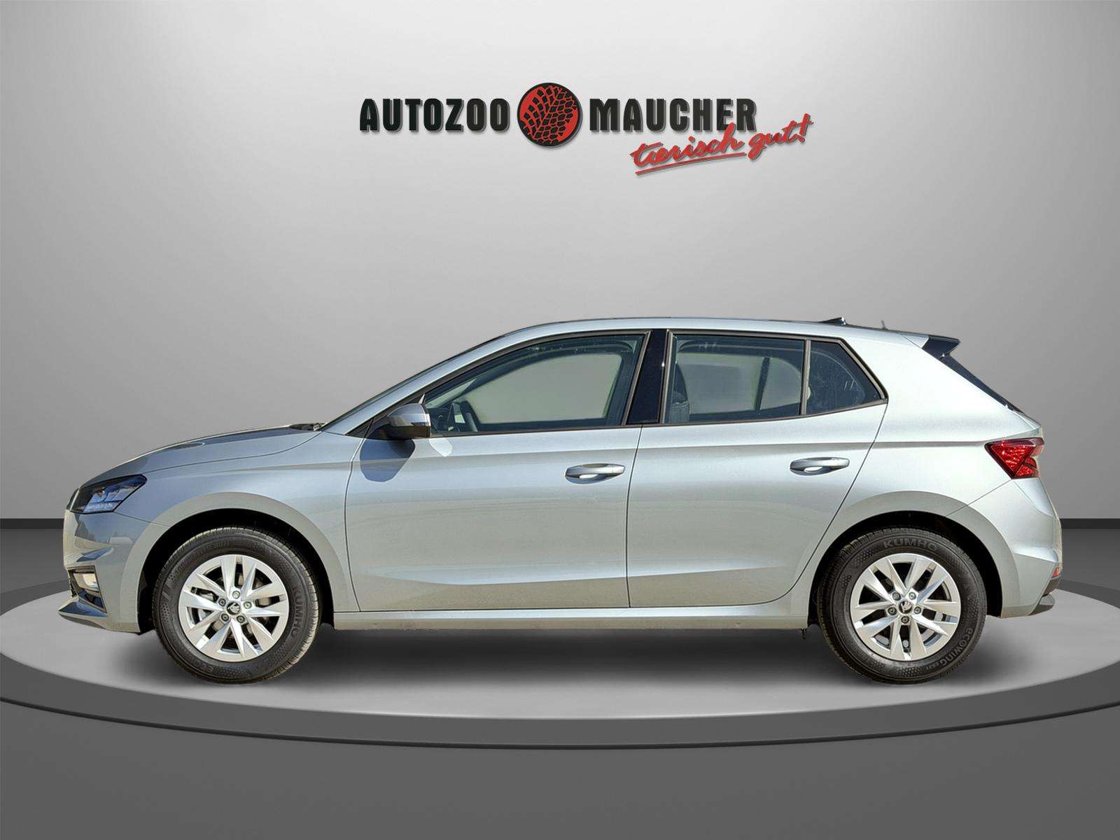 Fahrzeugbild eines Skoda Fabia