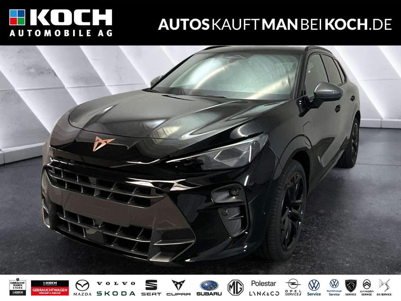 Fahrzeugbild eines CUPRA Terramar