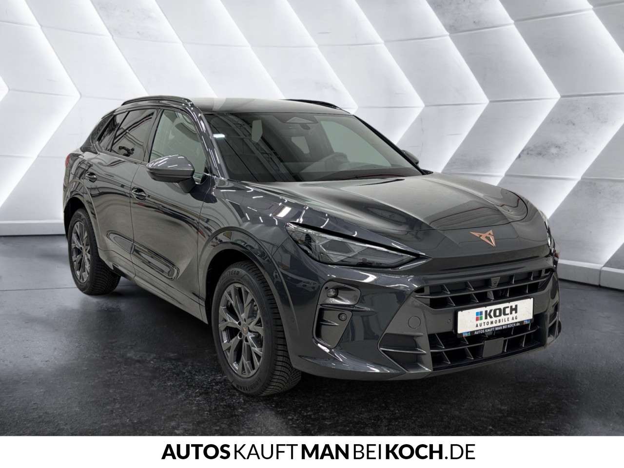 Fahrzeugbild eines CUPRA Terramar