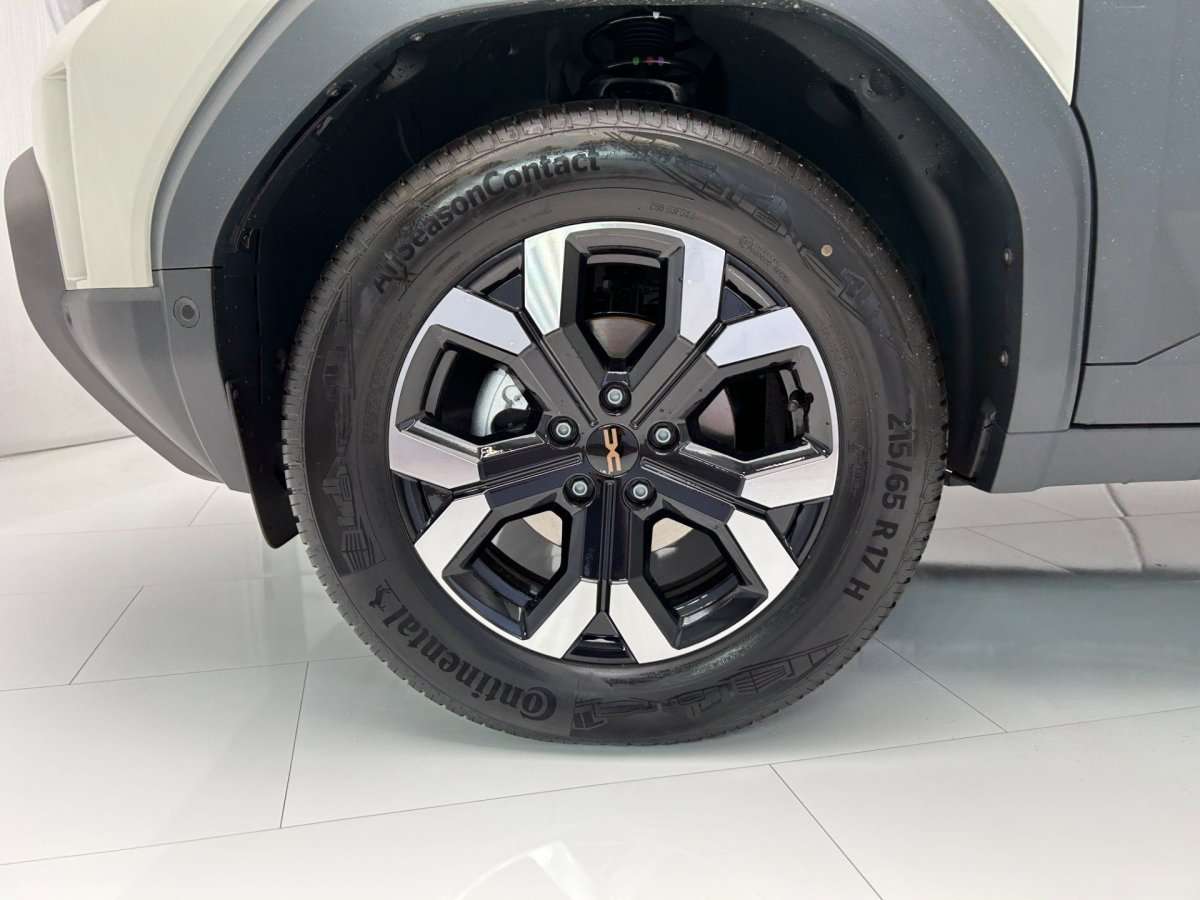 Fahrzeugbild eines Dacia Duster