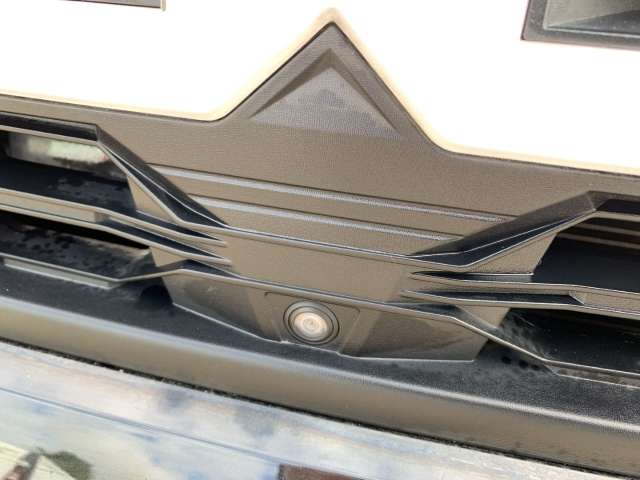 Fahrzeugbild eines Dacia Duster