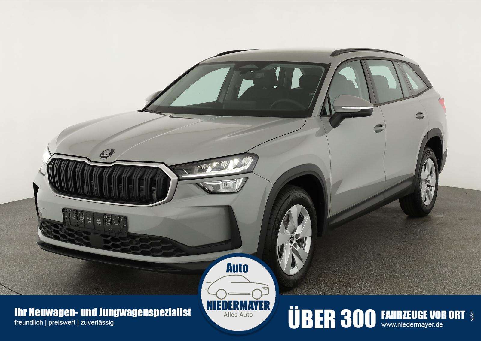 Fahrzeugbild eines Skoda Kodiaq