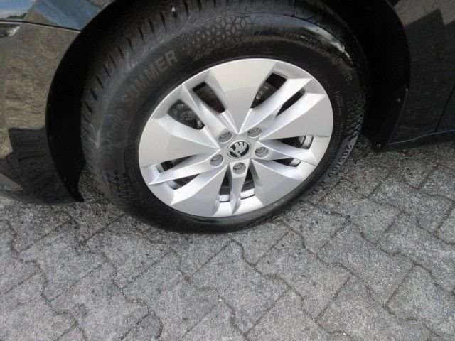 Fahrzeugbild eines Skoda Octavia