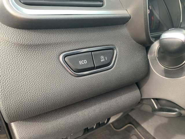 Fahrzeugbild eines Renault Kadjar