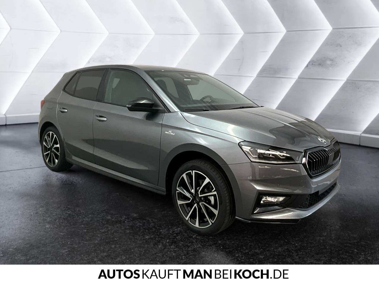 Fahrzeugbild eines Skoda Fabia