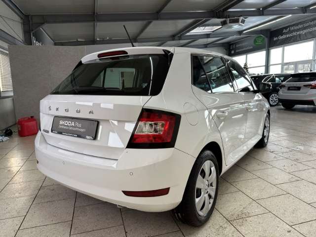 Fahrzeugbild eines Skoda Fabia