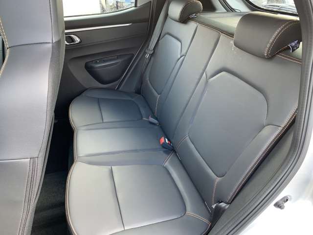 Fahrzeugbild eines Dacia Spring