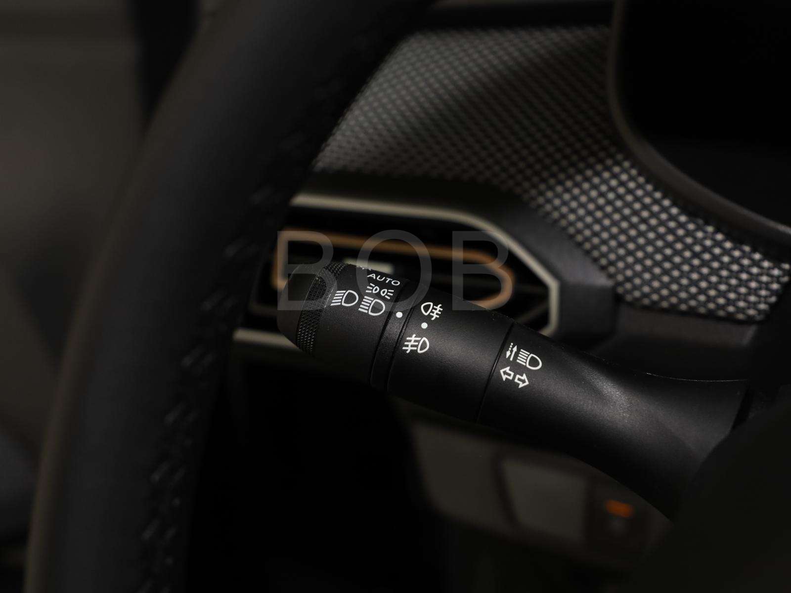 Fahrzeugbild eines Dacia Sandero