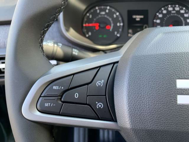 Fahrzeugbild eines Dacia Sandero