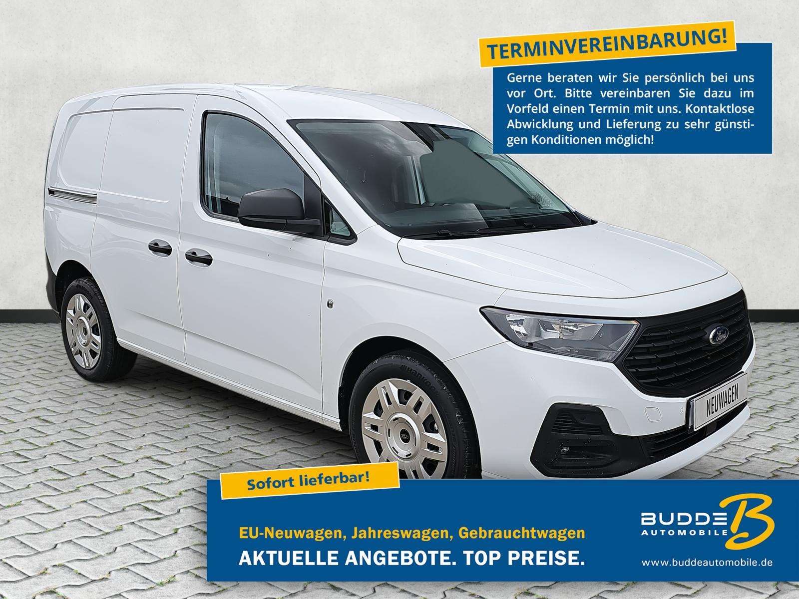 Fahrzeugbild eines Ford Transit Connect