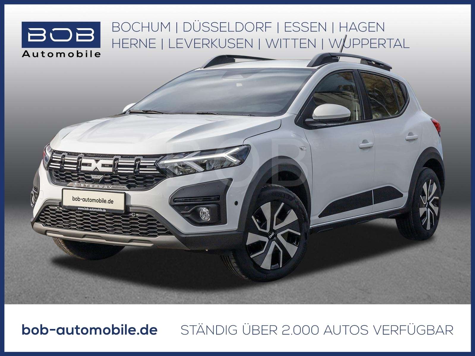 Fahrzeugbild eines Dacia Sandero