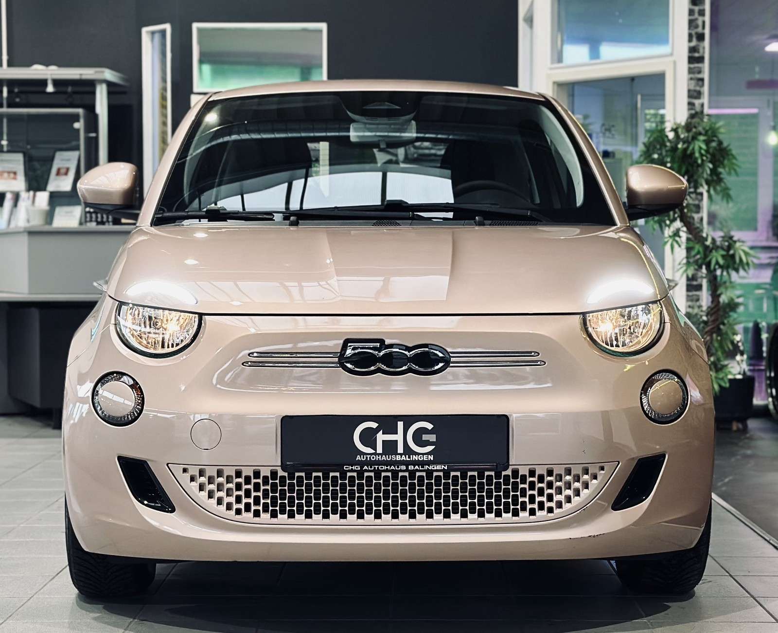 Fahrzeugbild eines Fiat 500