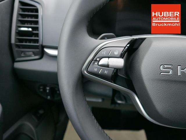 Fahrzeugbild eines Skoda Karoq