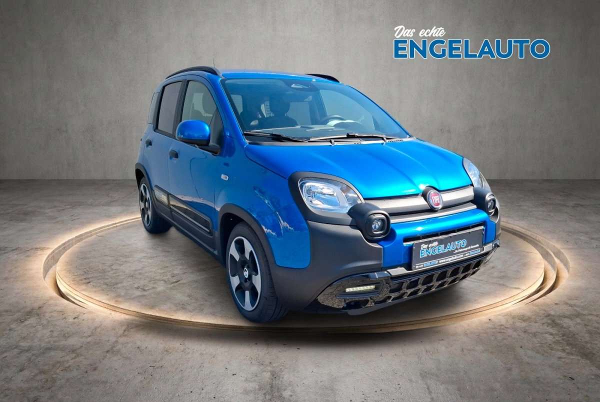 Fahrzeugbild eines Fiat Panda