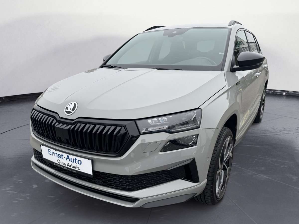 Fahrzeugbild eines Skoda Karoq