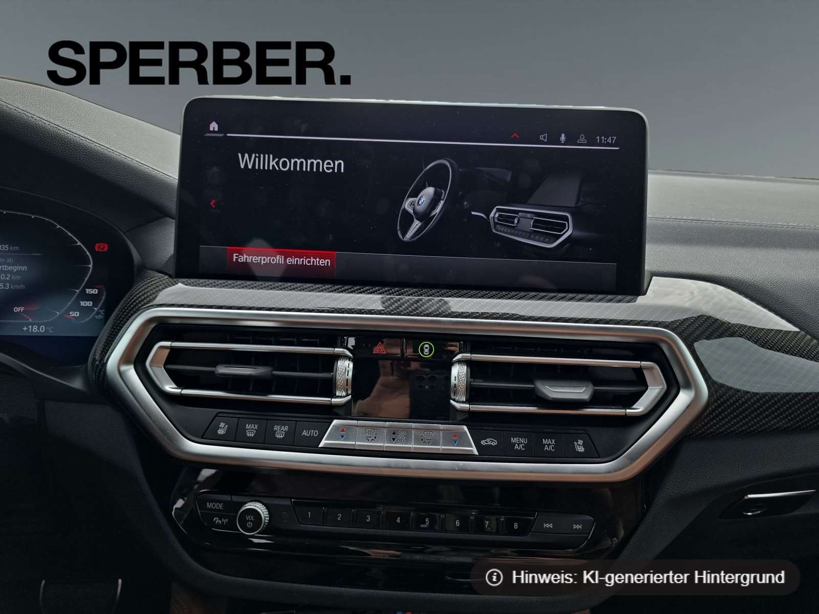 Fahrzeugbild eines BMW X4