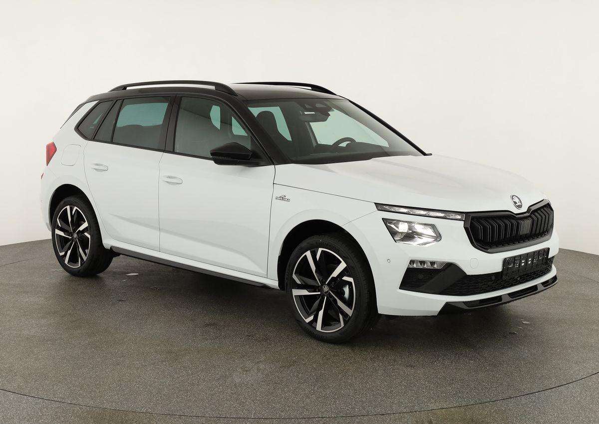 Fahrzeugbild eines Skoda Kamiq