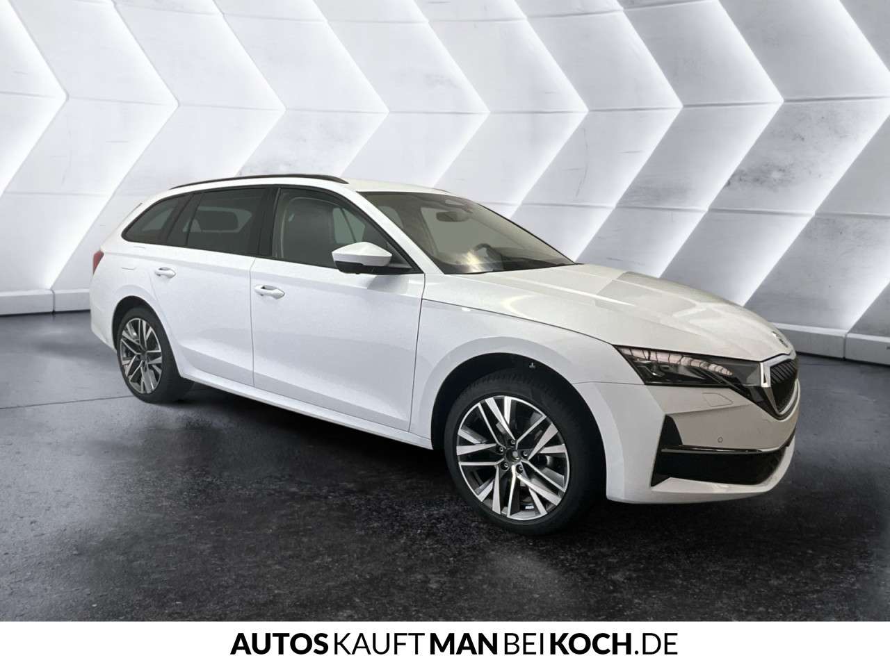 Fahrzeugbild eines Skoda Octavia