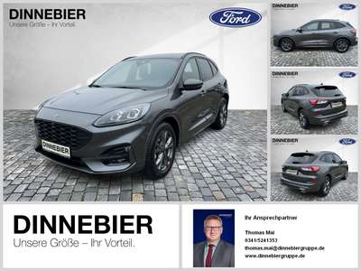 Bild Ford Kuga