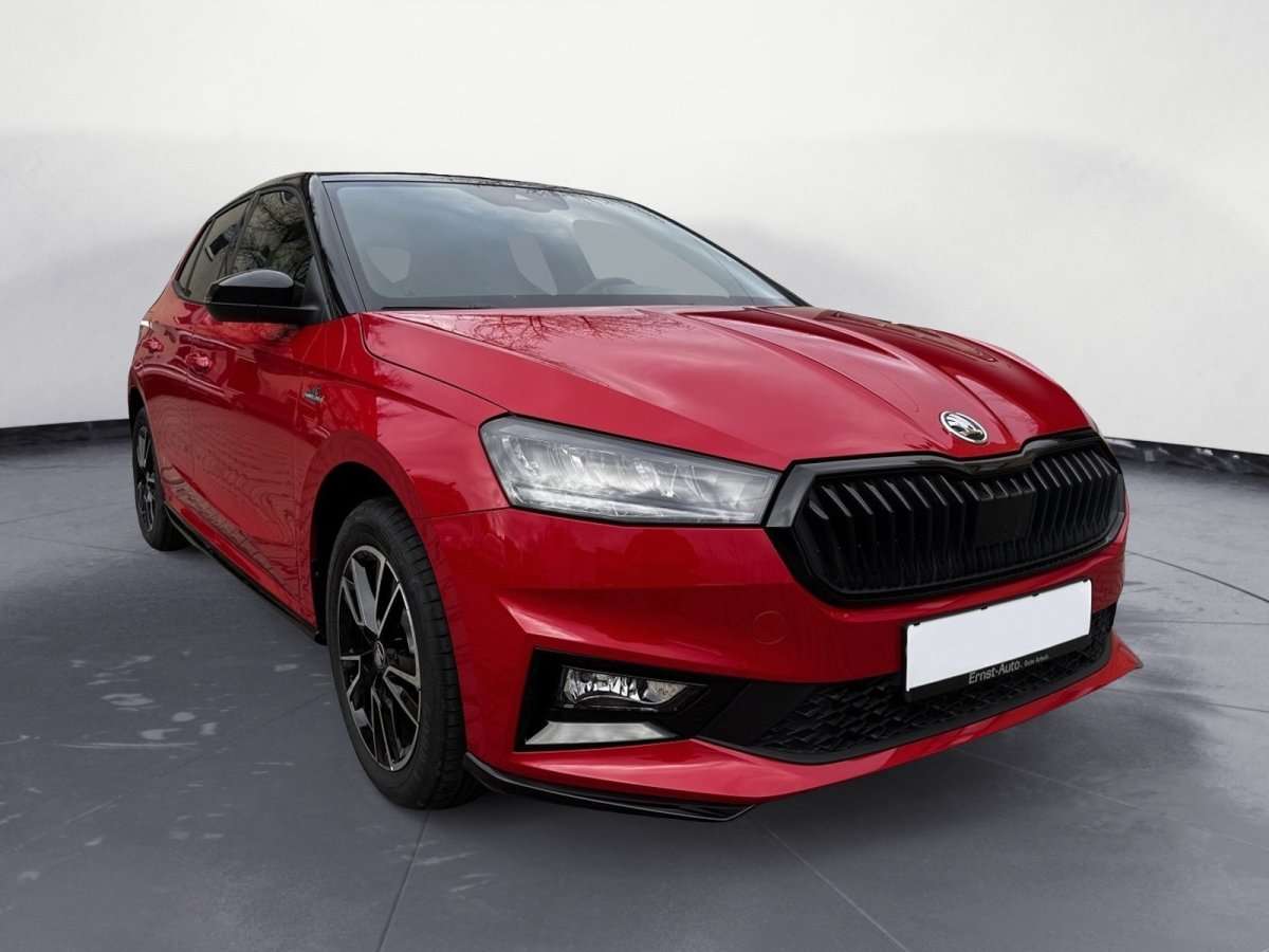 Fahrzeugbild eines Skoda Fabia