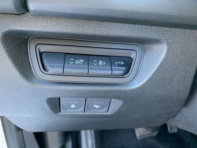 Fahrzeugbild eines Renault ZOE