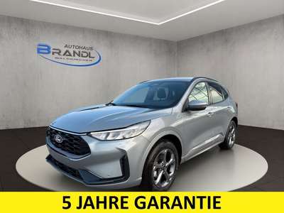 Bild Ford Kuga