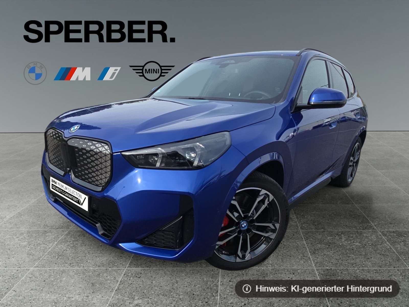 Fahrzeugbild eines BMW iX1