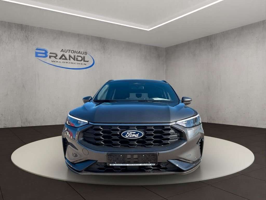 Fahrzeugbild eines Ford Kuga
