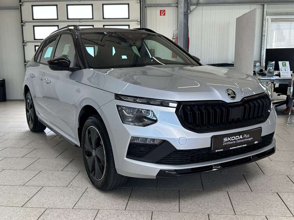 Fahrzeugbild eines Skoda Kamiq