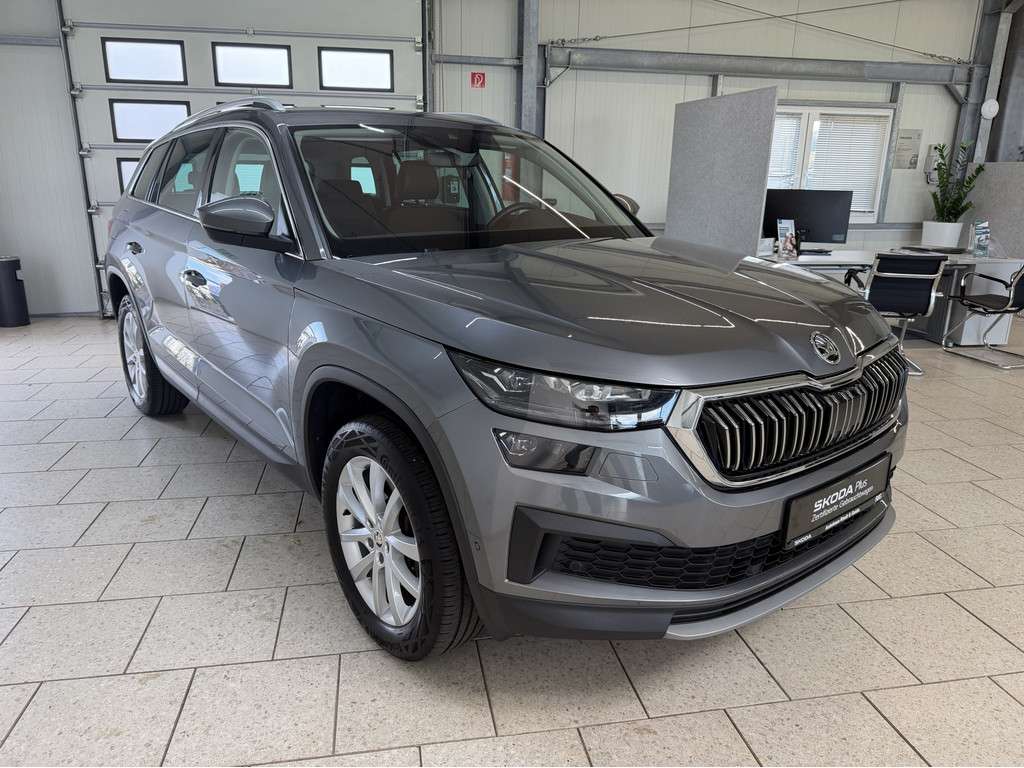 Fahrzeugbild eines Skoda Kodiaq