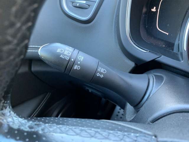 Fahrzeugbild eines Renault Grand Scénic