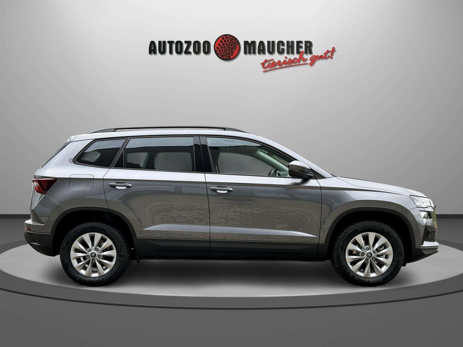 Fahrzeugbild eines Skoda Karoq