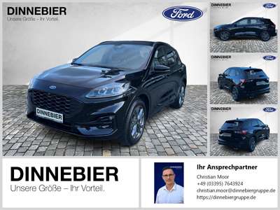 Bild Ford Kuga