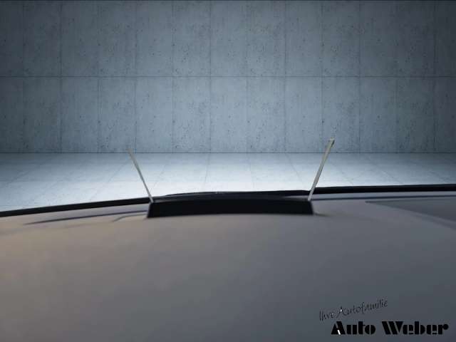 Fahrzeugbild eines Volkswagen Passat