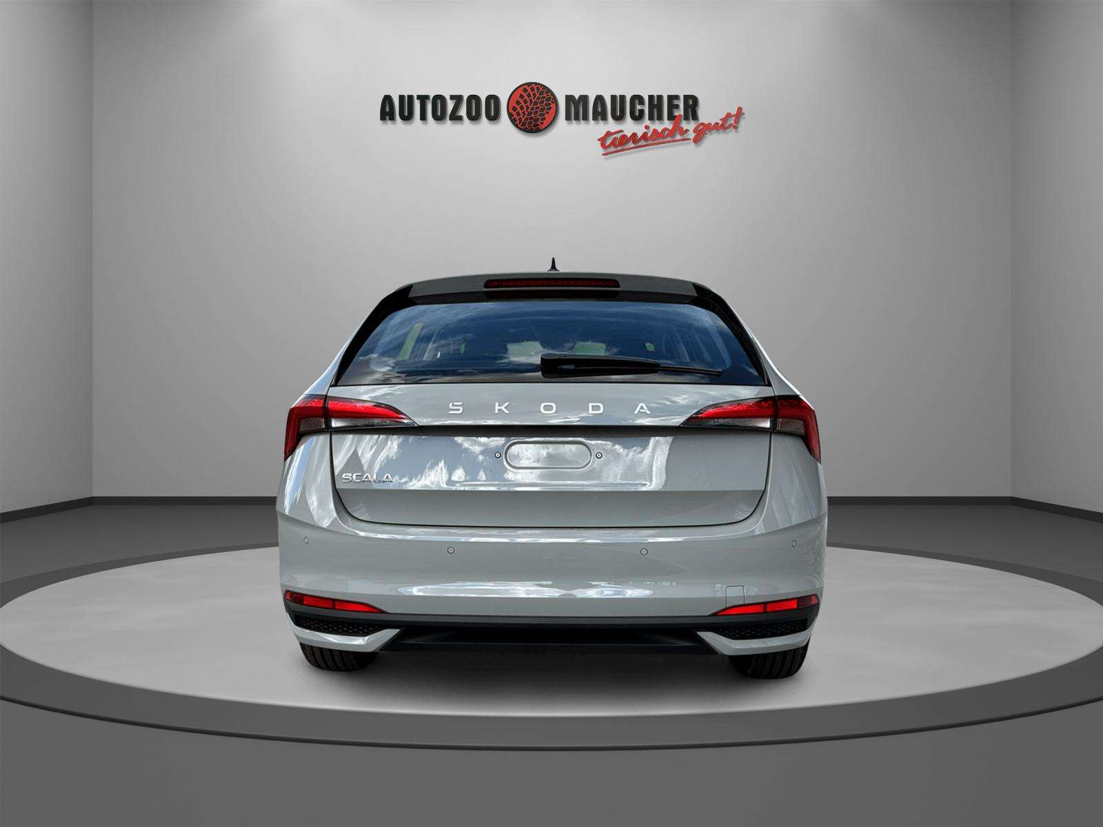 Fahrzeugbild eines Skoda Scala
