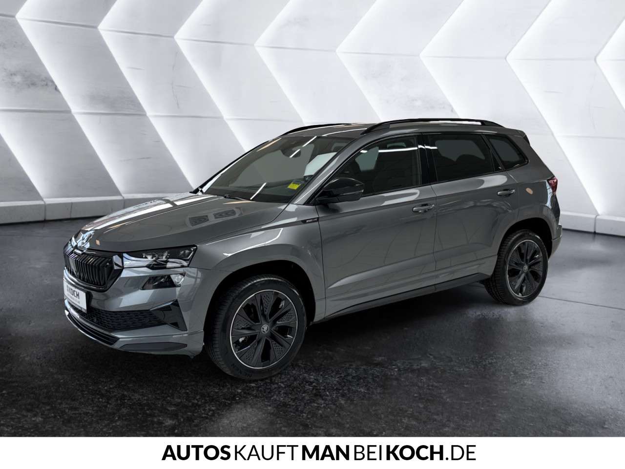 Fahrzeugbild eines Skoda Karoq