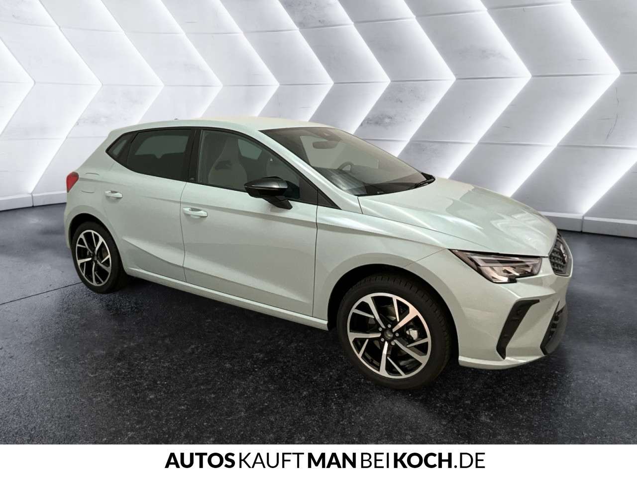 Fahrzeugbild eines SEAT Ibiza