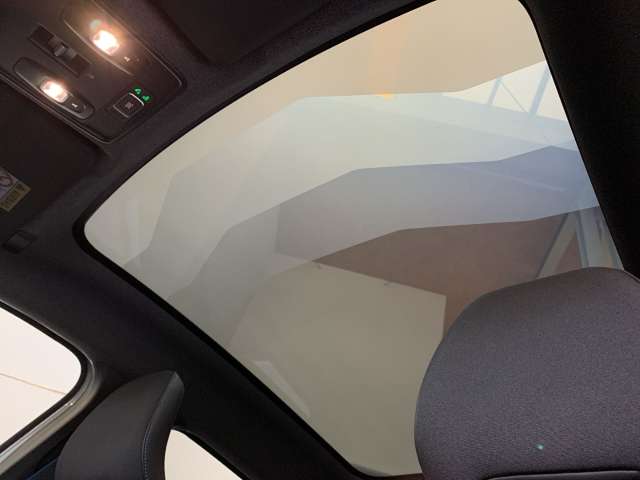 Fahrzeugbild eines Renault Symbioz