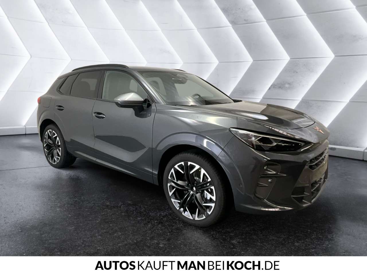 Fahrzeugbild eines CUPRA Terramar