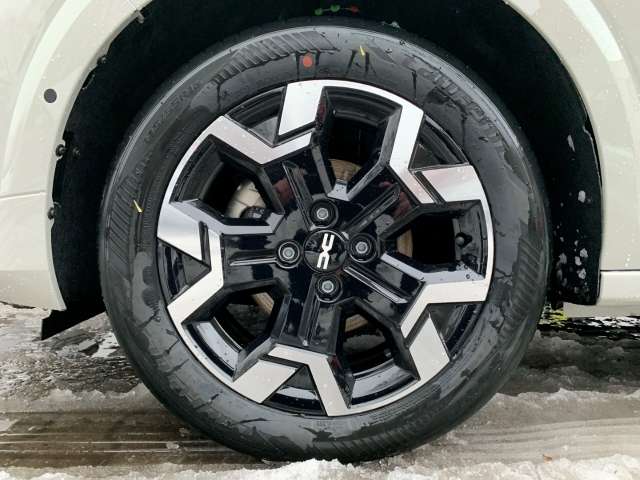 Fahrzeugbild eines Dacia Sandero