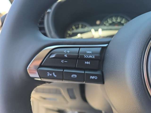 Fahrzeugbild eines Mazda CX-30