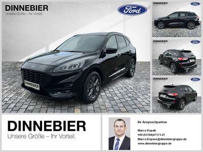 Bild Ford Kuga