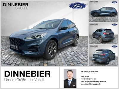 Bild Ford Kuga