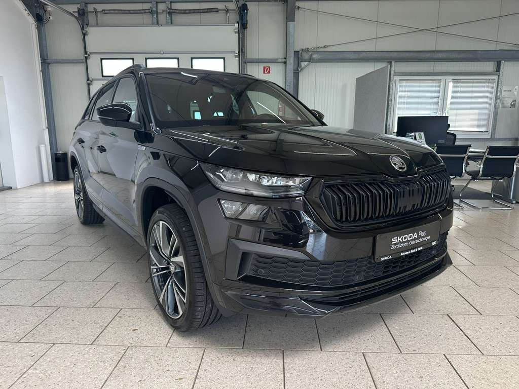 Fahrzeugbild eines Skoda Kodiaq