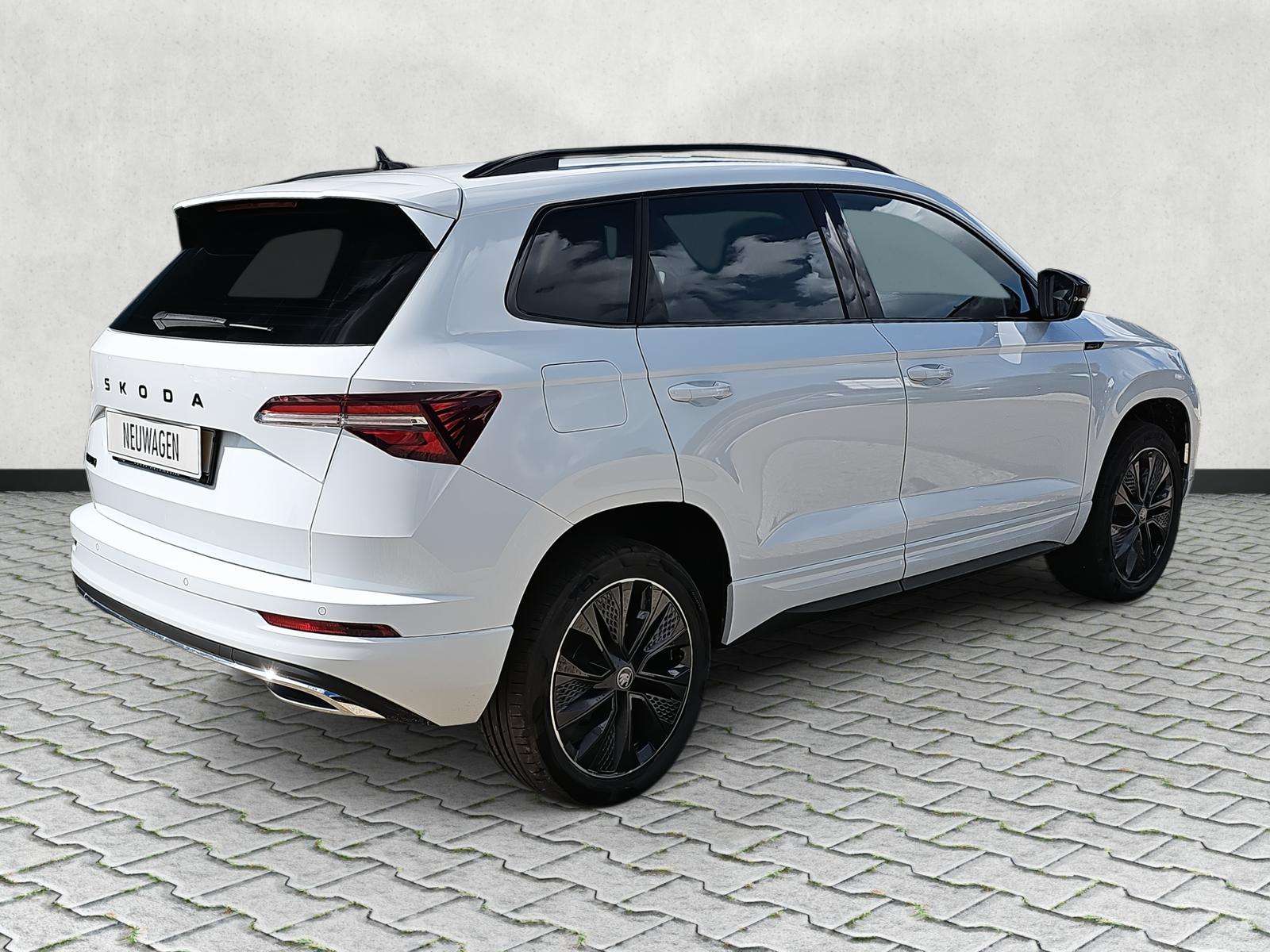 Fahrzeugbild eines Skoda Karoq