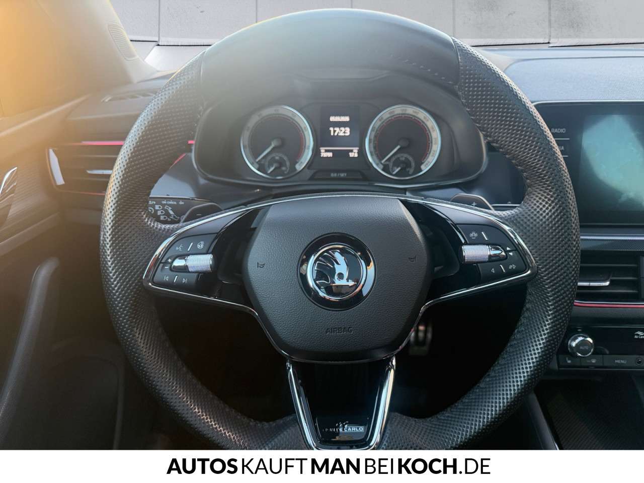 Fahrzeugbild eines Skoda Scala