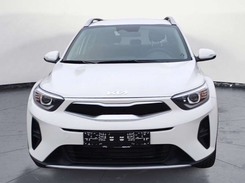 Fahrzeugbild eines Kia Stonic